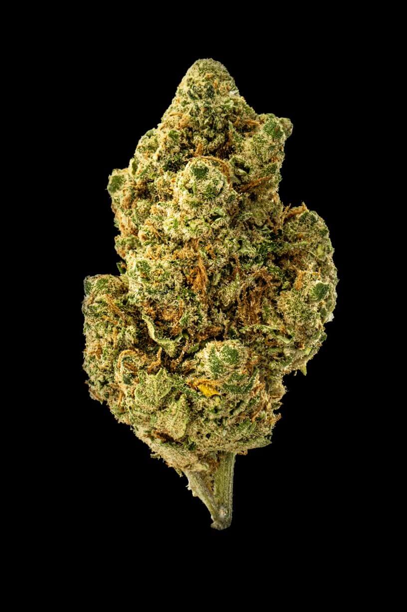 Amnesia Cannabis flower