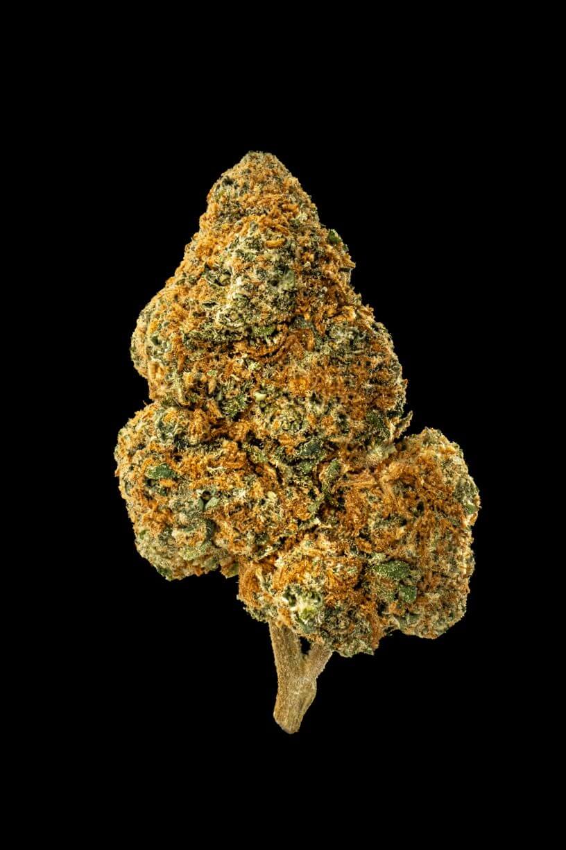 Biscotti Cannabis flower