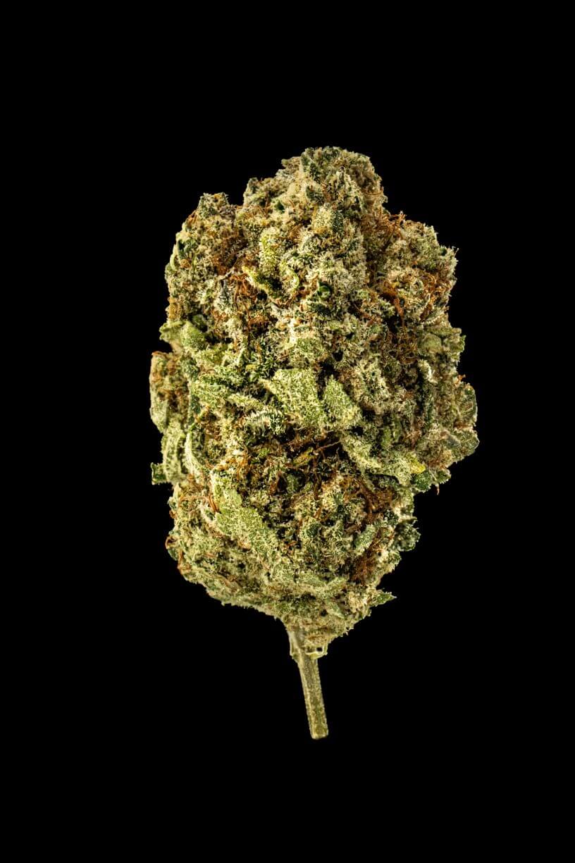 Bubblegum Belts Cannabis flower
