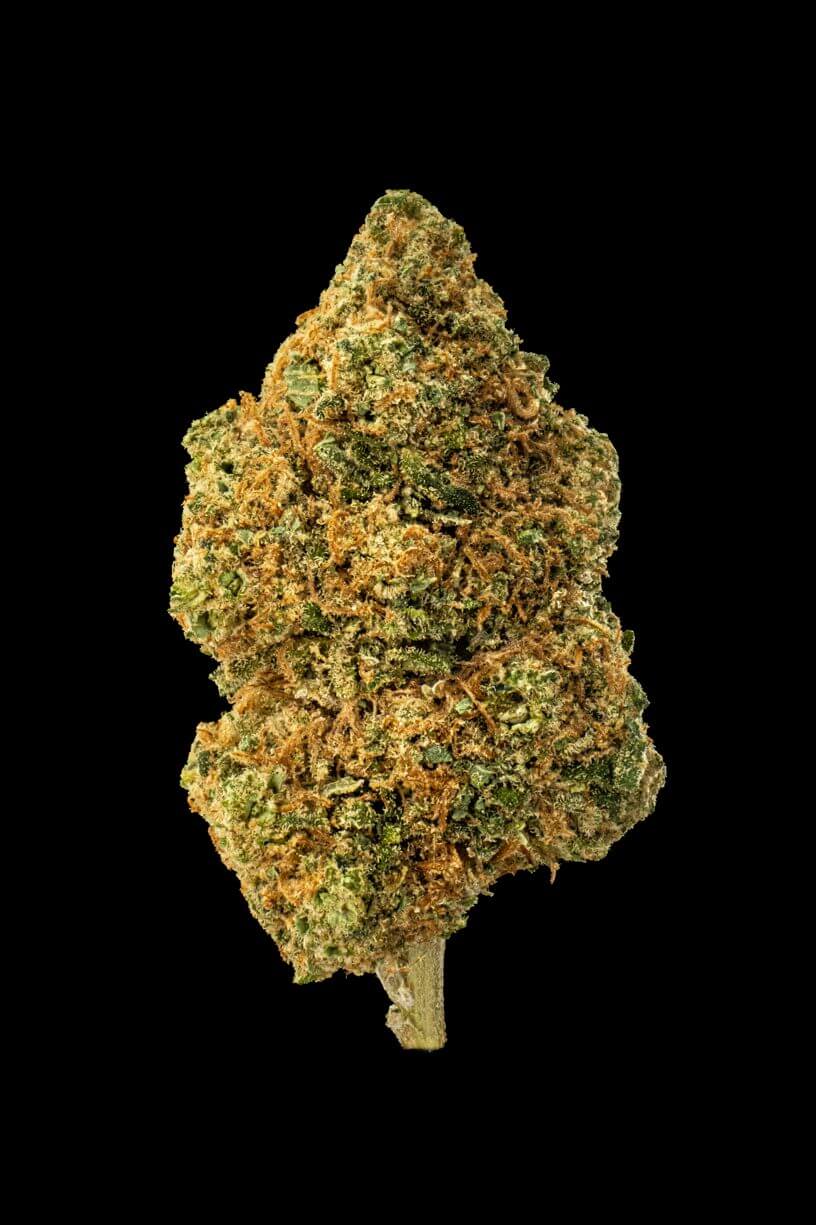 Cheese Cannabis flower